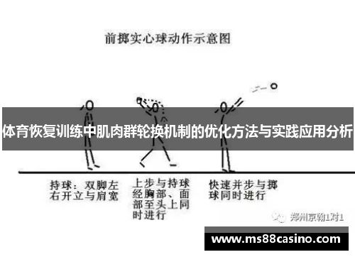 体育恢复训练中肌肉群轮换机制的优化方法与实践应用分析