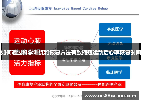 如何通过科学训练和恢复方法有效缩短运动后心率恢复时间