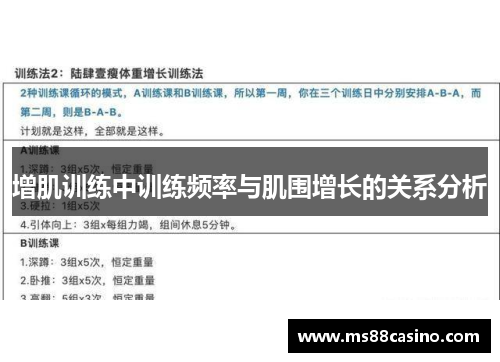 增肌训练中训练频率与肌围增长的关系分析